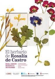 (G).HERBARIO DE ROSALIA DE CASTRO, O
