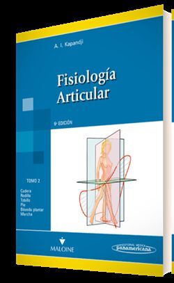 FISIOLOGÍA ARTICULAR.CADERA,RODILLA,TOBILLO,PIE,BÓVEDA PLANTAR,MARCHA