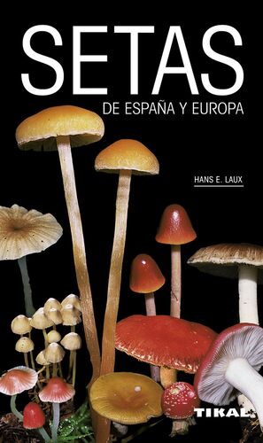 SETAS DE ESPAÑA Y EUROPA